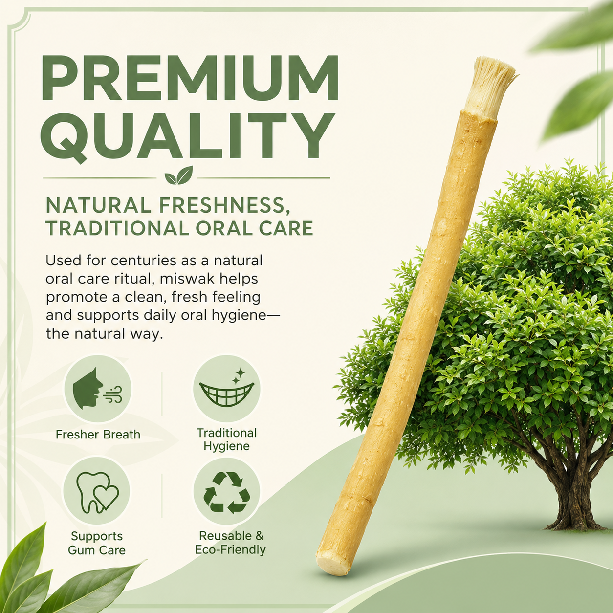 Natural Miswak Stick | Organic Toothbrush Alternative for Fresh Breath