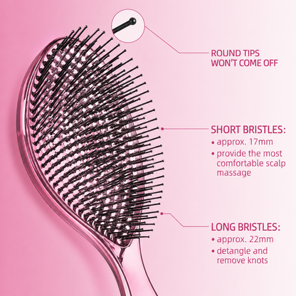 🪮Multi-Color Detangling Hair Brush Round Tip Scalp Massage Comb