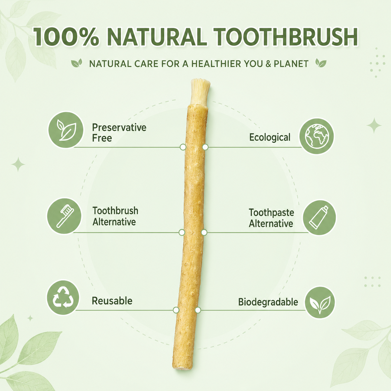 Natural Miswak Stick | Organic Toothbrush Alternative for Fresh Breath