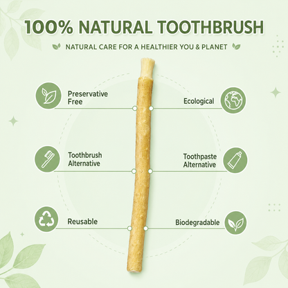 Natural Miswak Stick | Organic Toothbrush Alternative for Fresh Breath