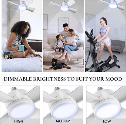 🌀+💡Remote Controlled Socket Ceiling Fan & Light