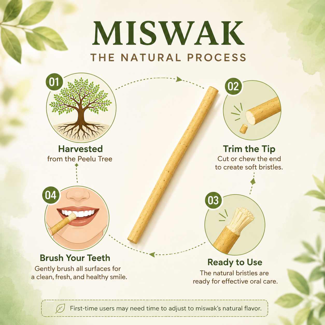 Natural Miswak Stick | Organic Toothbrush Alternative for Fresh Breath
