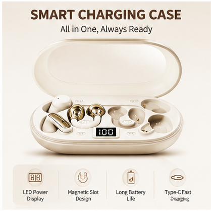 3-in-1 earbuds offer