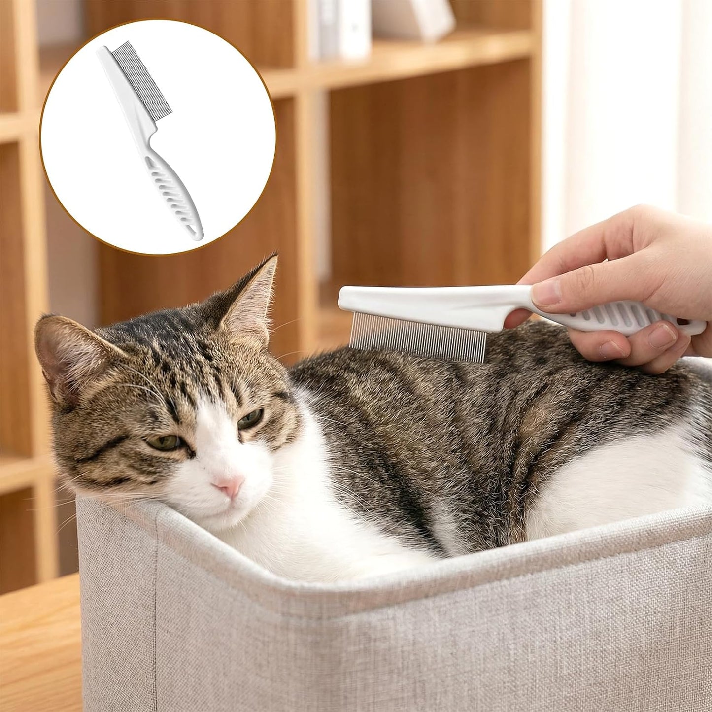 🔥49％ OFF-Multifunctional Pet Grooming Comb Set for Small Dogs