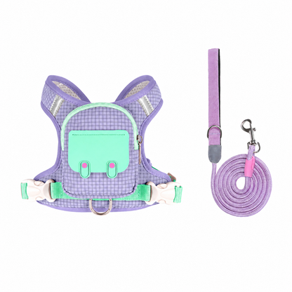 🐾 Cute Mini Backpack Harness for Dogs & Cats – Adjustable Pet Vest with Treat Pocket