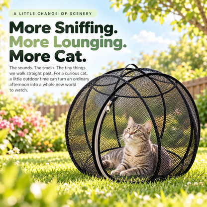 🌿 Outdoor Cat Playpen | Pop-Up Mesh Enclosure for Safe Supervised Outdoor Time
