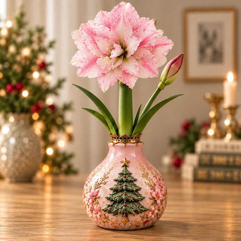 🎄🌺 Holiday Amaryllis Bulbs – No Soil, No Water, Just Watch Them Bloom
