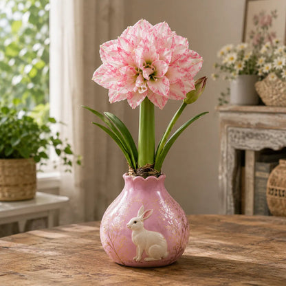 🌺 Waxed Double Amaryllis Bulb – No Soil, No Water, Just Beautiful Blooms – A Unique Holiday Flower Gift 🎁