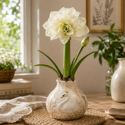 🌺 Waxed Double Amaryllis Bulb – No Soil, No Water, Just Beautiful Blooms – A Unique Holiday Flower Gift 🎁
