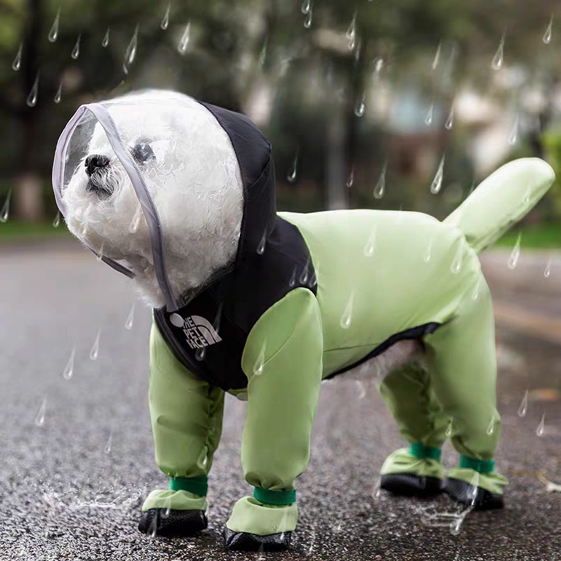 Dog wearing a green raincoat with a transparent hood in the rain.