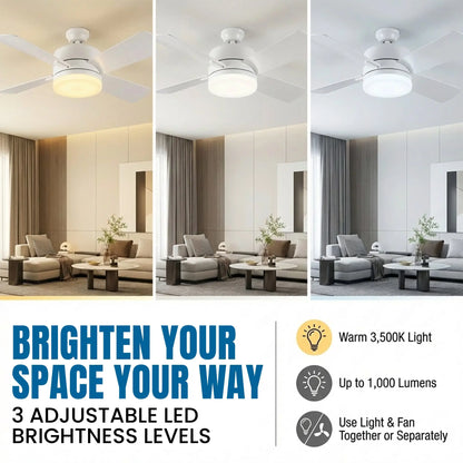 🌀+💡Remote Controlled Socket Ceiling Fan & Light
